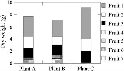 Non-invasive 11C-Imaging Revealed the Spatiotemporal Variability in the Translocation of Photosynthates Into Strawberry Fruits in Response to Increasing Daylight Integrals at Leaf Surface